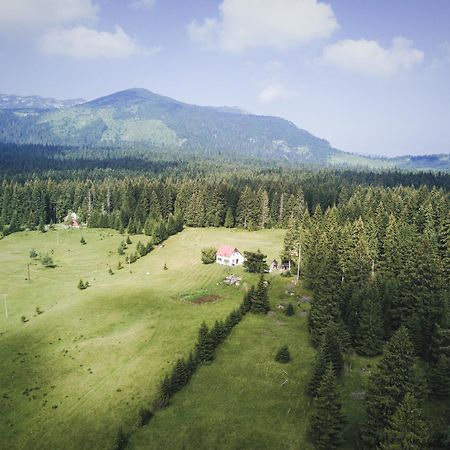 Homestay Djerkovic Жабляк Екстер'єр фото