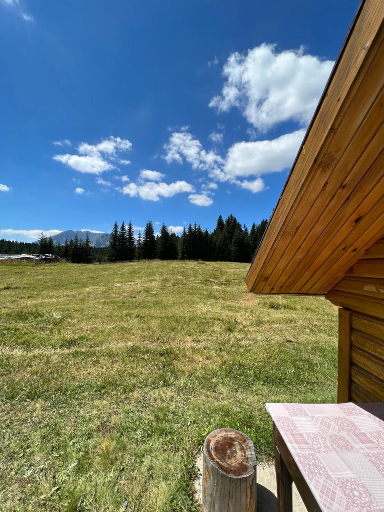 Homestay Djerkovic Жабляк Екстер'єр фото