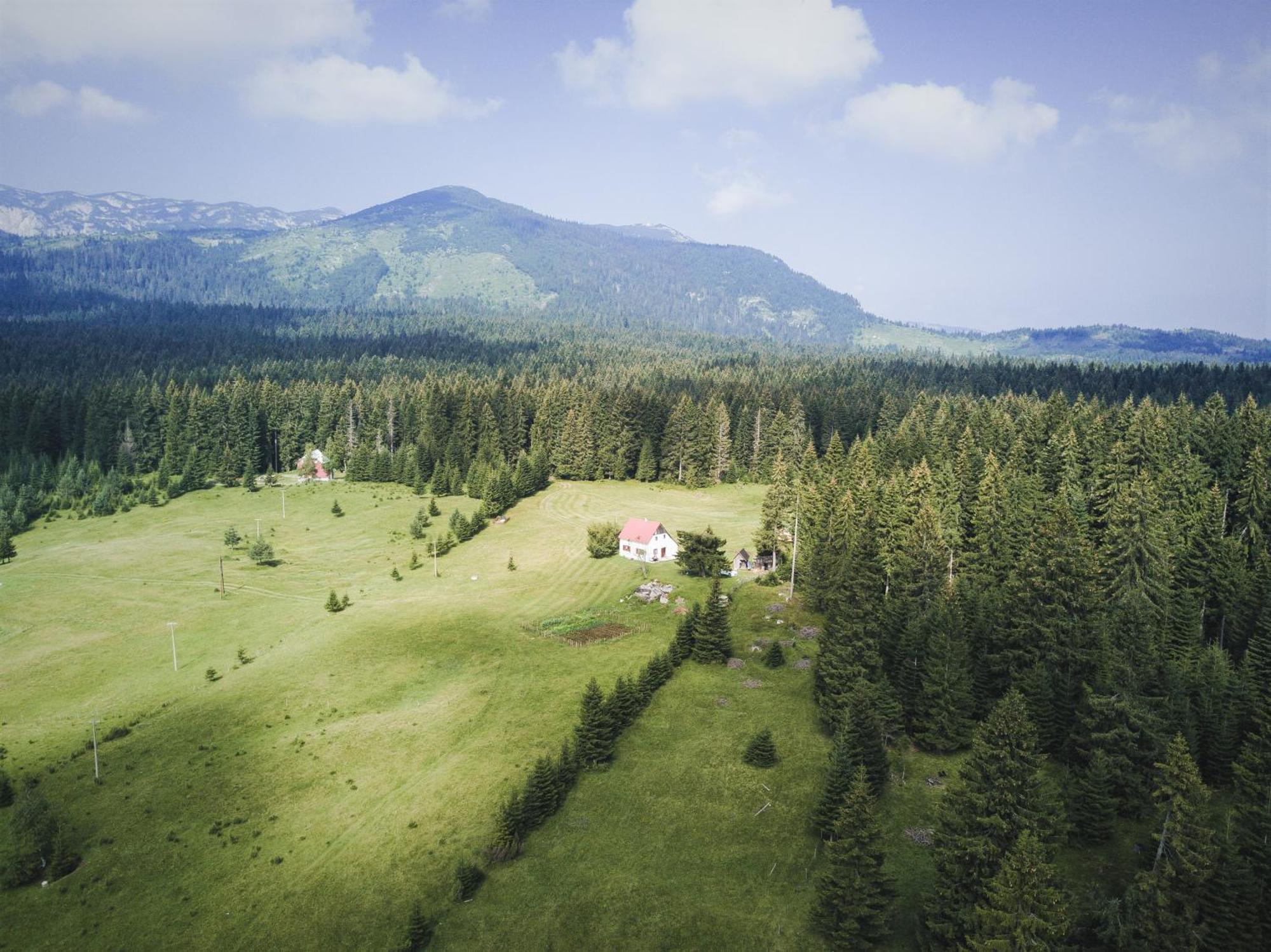 Homestay Djerkovic Жабляк Екстер'єр фото