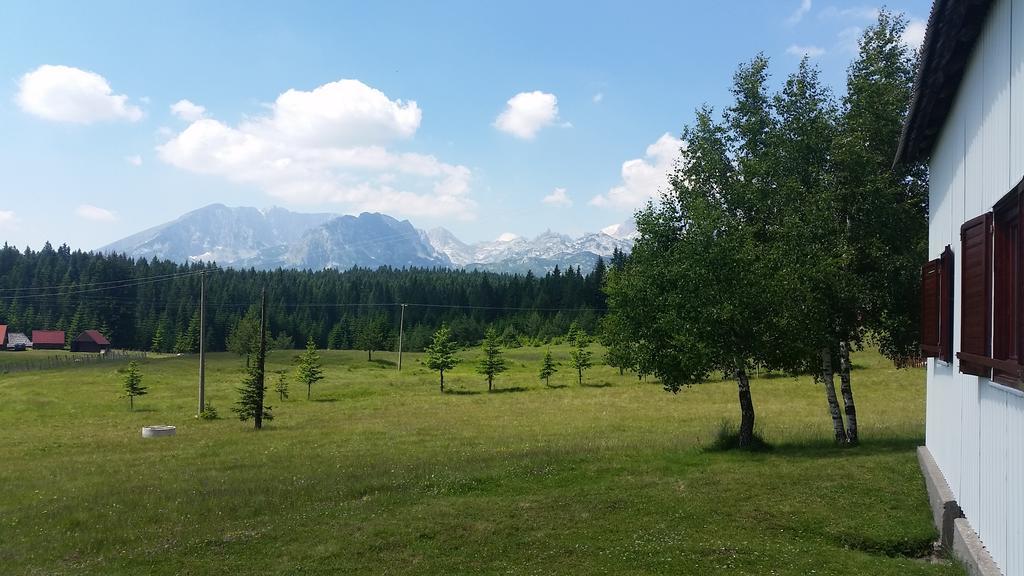 Homestay Djerkovic Жабляк Екстер'єр фото