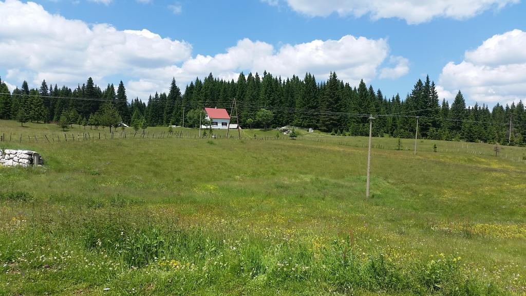 Homestay Djerkovic Жабляк Екстер'єр фото